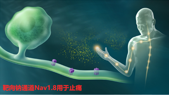 Nav1.8 inhibitor-- A new non-addictive and non-opioid pain treatment!
